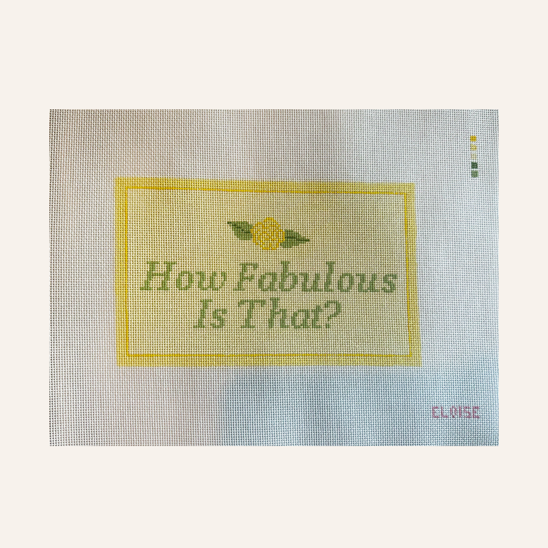 How Fabulous Is That?  | 18 Mesh Needlepoint Canvas | Hand Stitch Painted